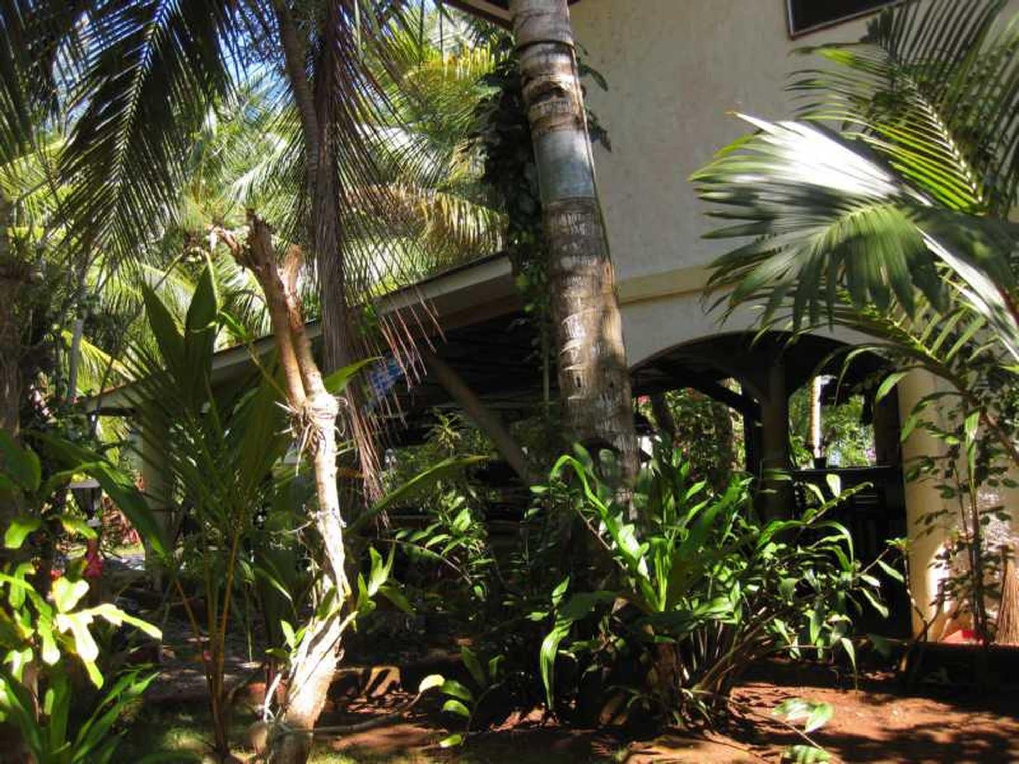 Calypso Resort Panglao Exterior foto
