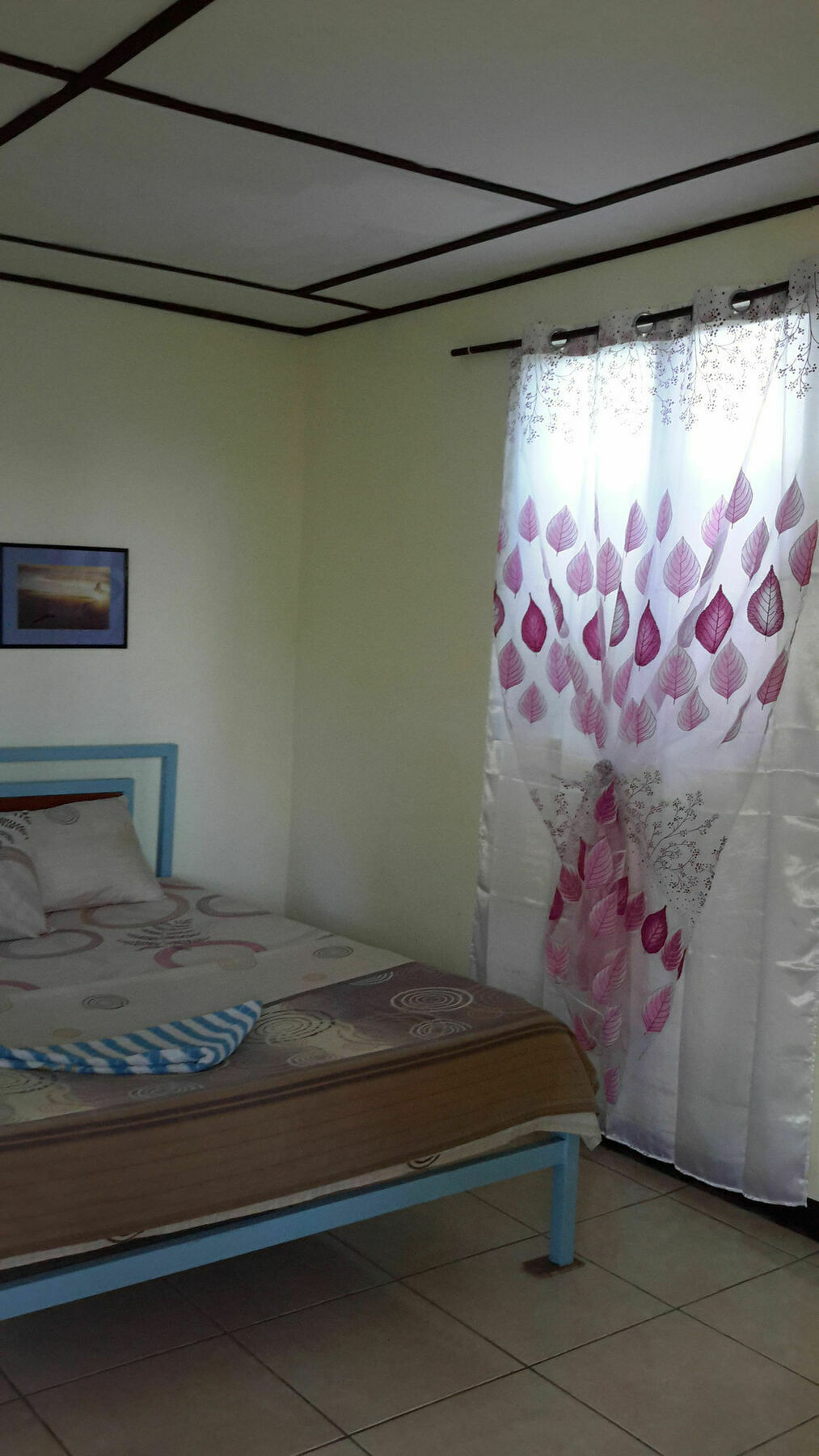 Calypso Resort Panglao Exterior foto